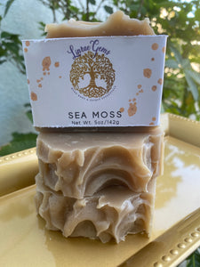 Sea Moss Body Bar